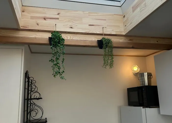 La Petite Saline 度假居 勒克鲁西克